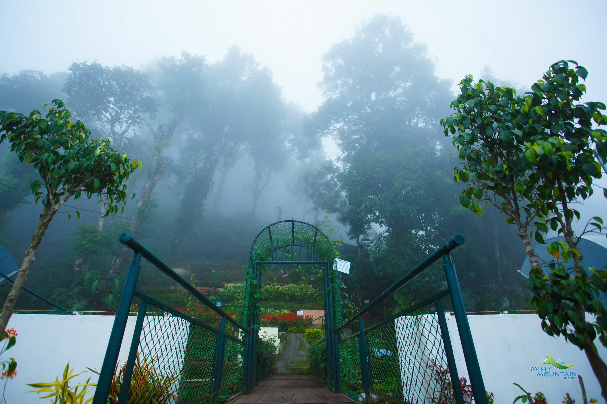 Misty Mountain Resort Munnar Ngoại thất bức ảnh