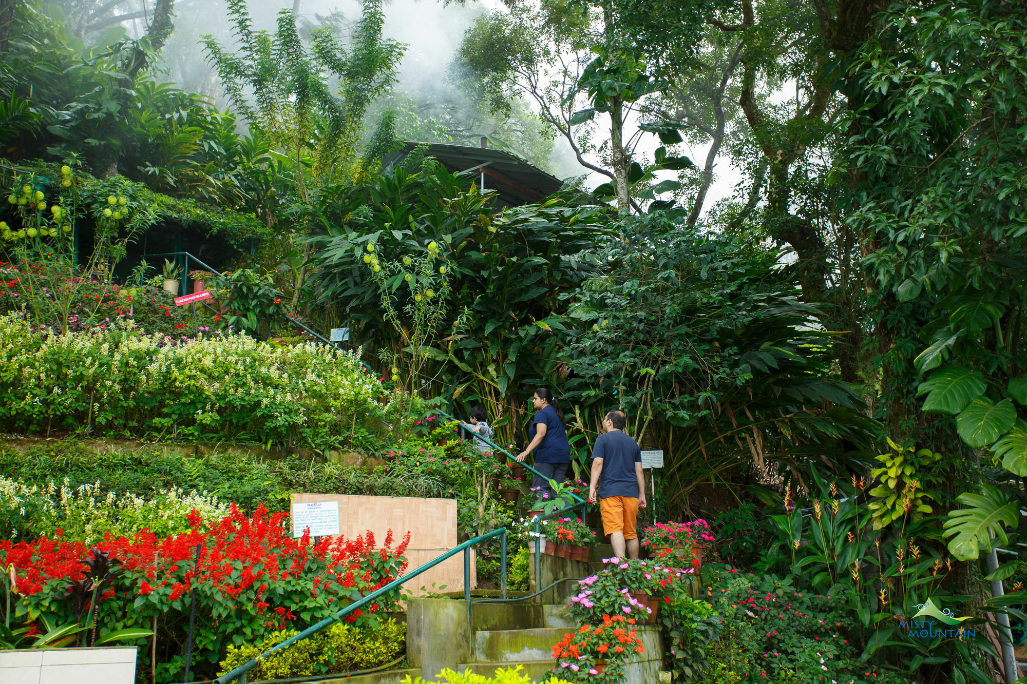 Misty Mountain Resort Munnar Ngoại thất bức ảnh