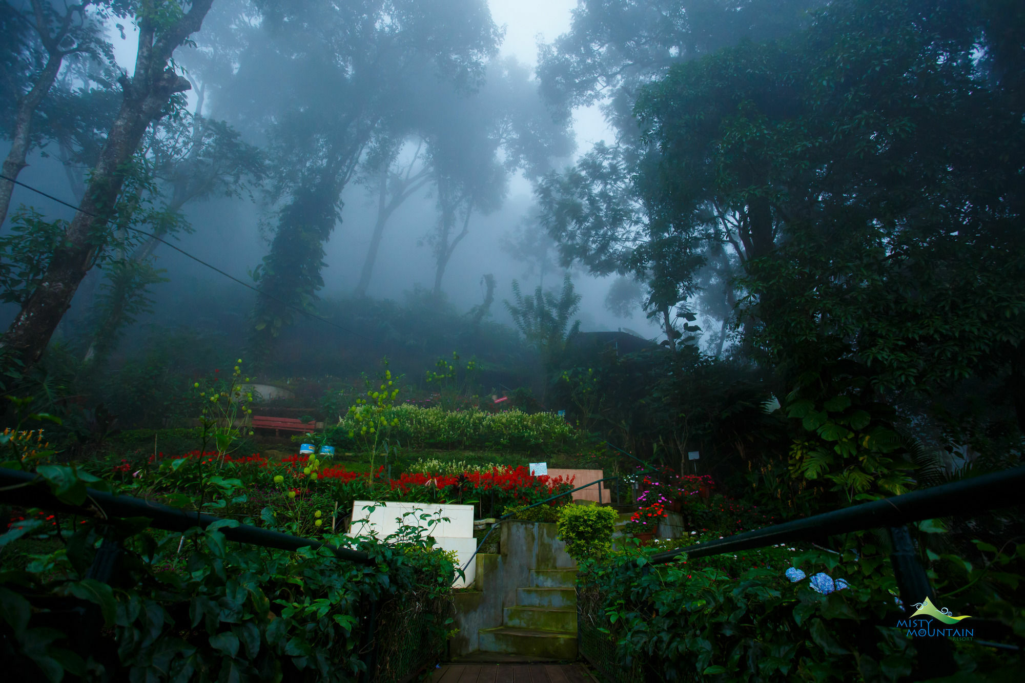 Misty Mountain Resort Munnar Ngoại thất bức ảnh