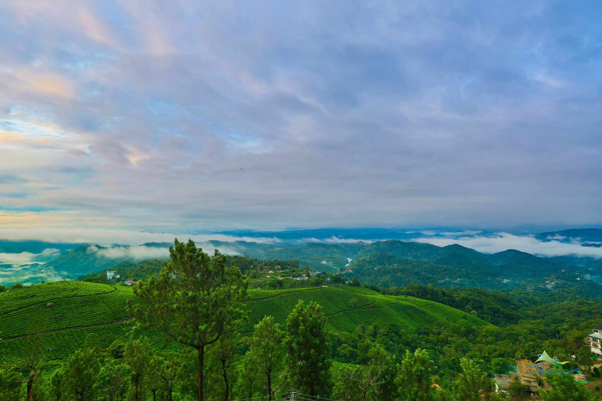 Misty Mountain Resort Munnar Ngoại thất bức ảnh