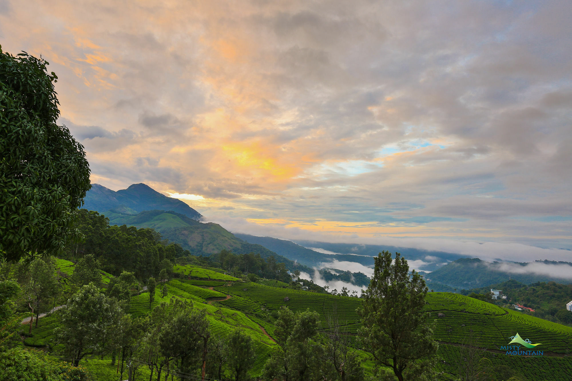 Misty Mountain Resort Munnar Ngoại thất bức ảnh